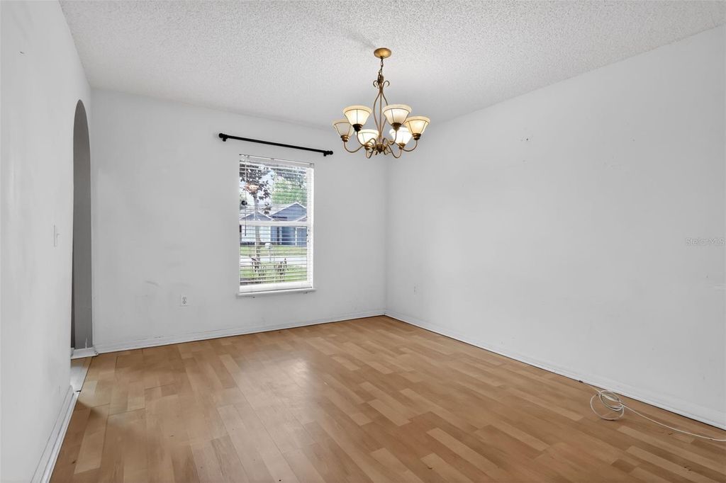 Photo of 307 Pleasant Gardens Drive, Apopka, FL 32703 (MLS # O6398242)