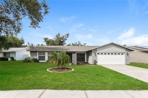 Photo of 3705 Casaba Loop, Valrico, FL 33596 (MLS # TB8432610)