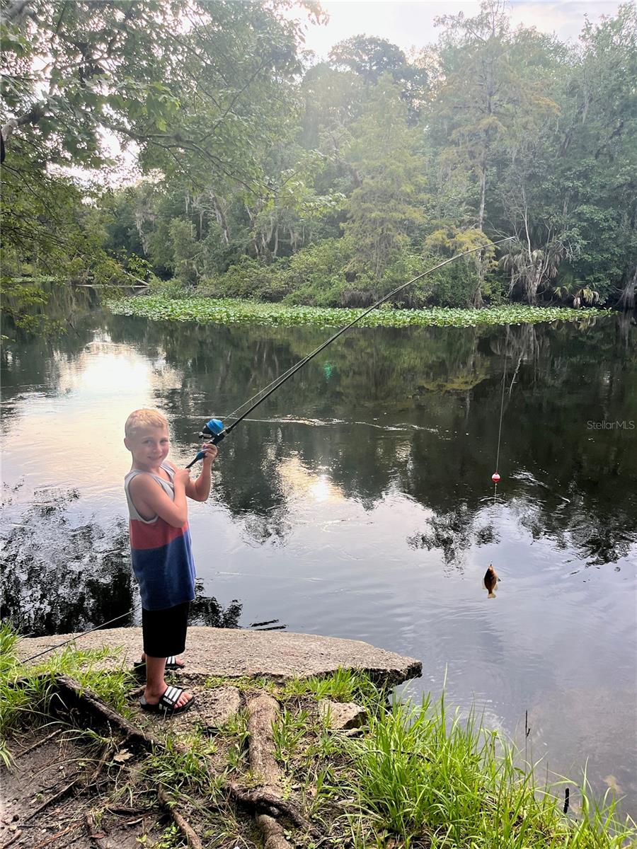 VILLAGE PARK AT THE WILDERNESS RV PARK ESTATES - Land