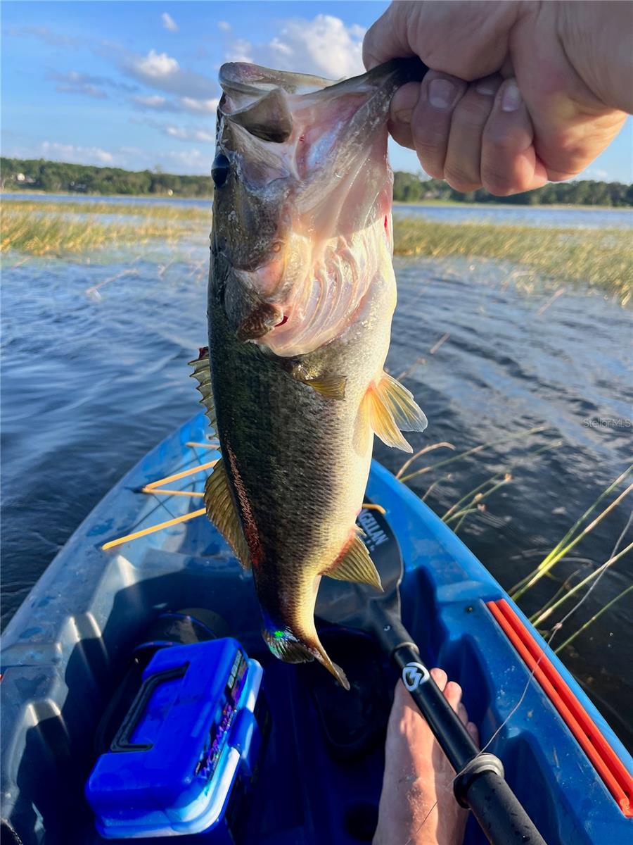 VILLAGE PARK AT THE WILDERNESS RV PARK ESTATES - Land