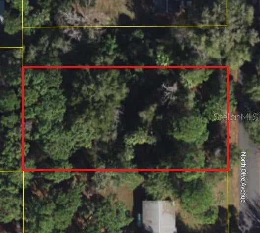 Photo of 3408 N Olive Avenue, Crystal River, FL 34428 (MLS # W7888418)