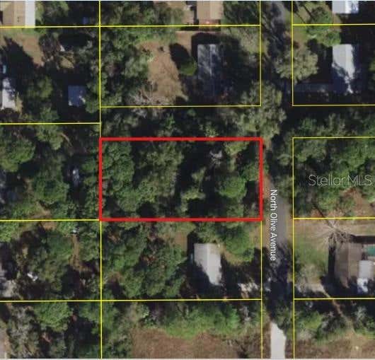 Photo of 3408 N Olive Avenue, Crystal River, FL 34428 (MLS # W7888418)
