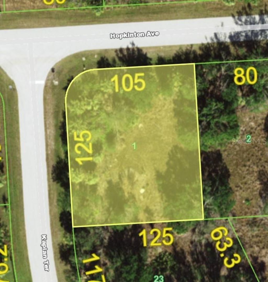 Photo of 13356 Kaplan Terrace, Port Charlotte, FL 33981 (MLS # C7513361)