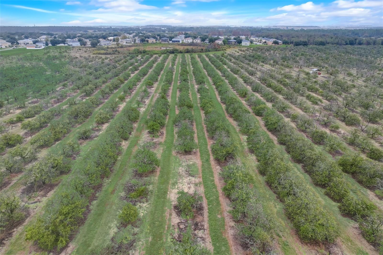 GREATER LAKES PH 01 - Residential