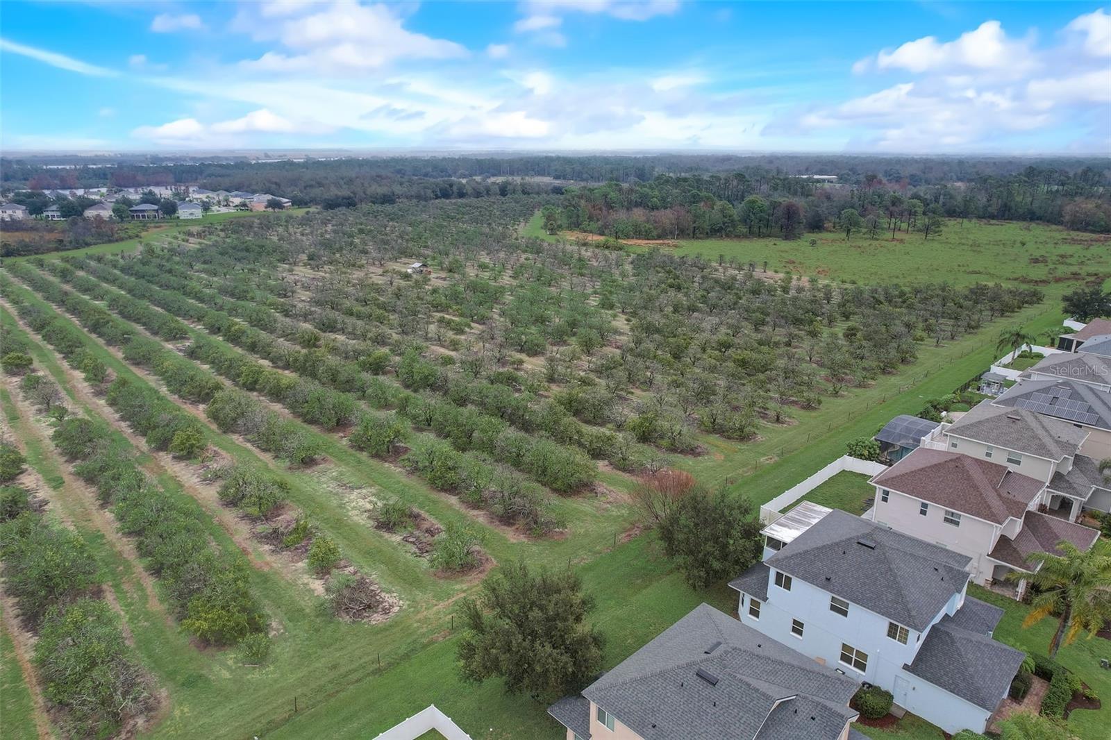 GREATER LAKES PH 01 - Residential