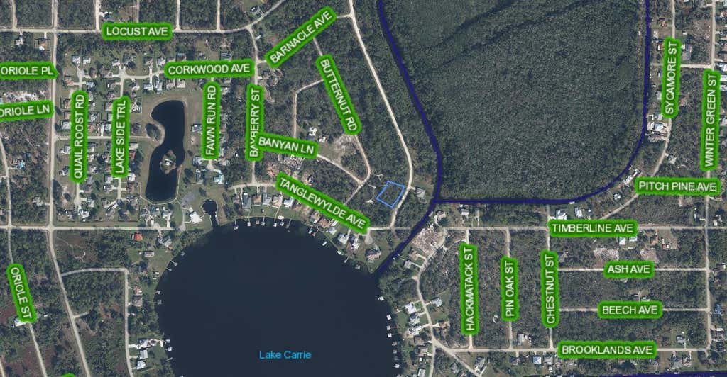 Photo of 1104 Greenfield Street, Lake Placid, FL 33852 (MLS # A4695875)