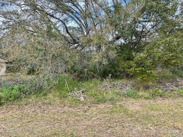 POINCIANA VILLAGE 01 NEIGHBORHOOD 03 WEST - Land