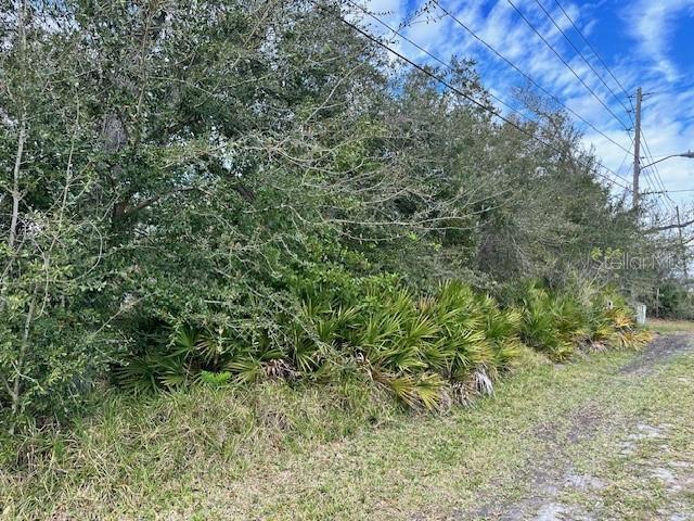 POINCIANA VILLAGE 01 NEIGHBORHOOD 03 WEST - Land