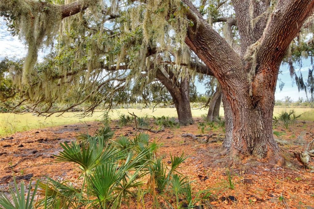 Photo of 0 Carlton Lake Road, Wimauma, FL 33598 (MLS # TB8471512)