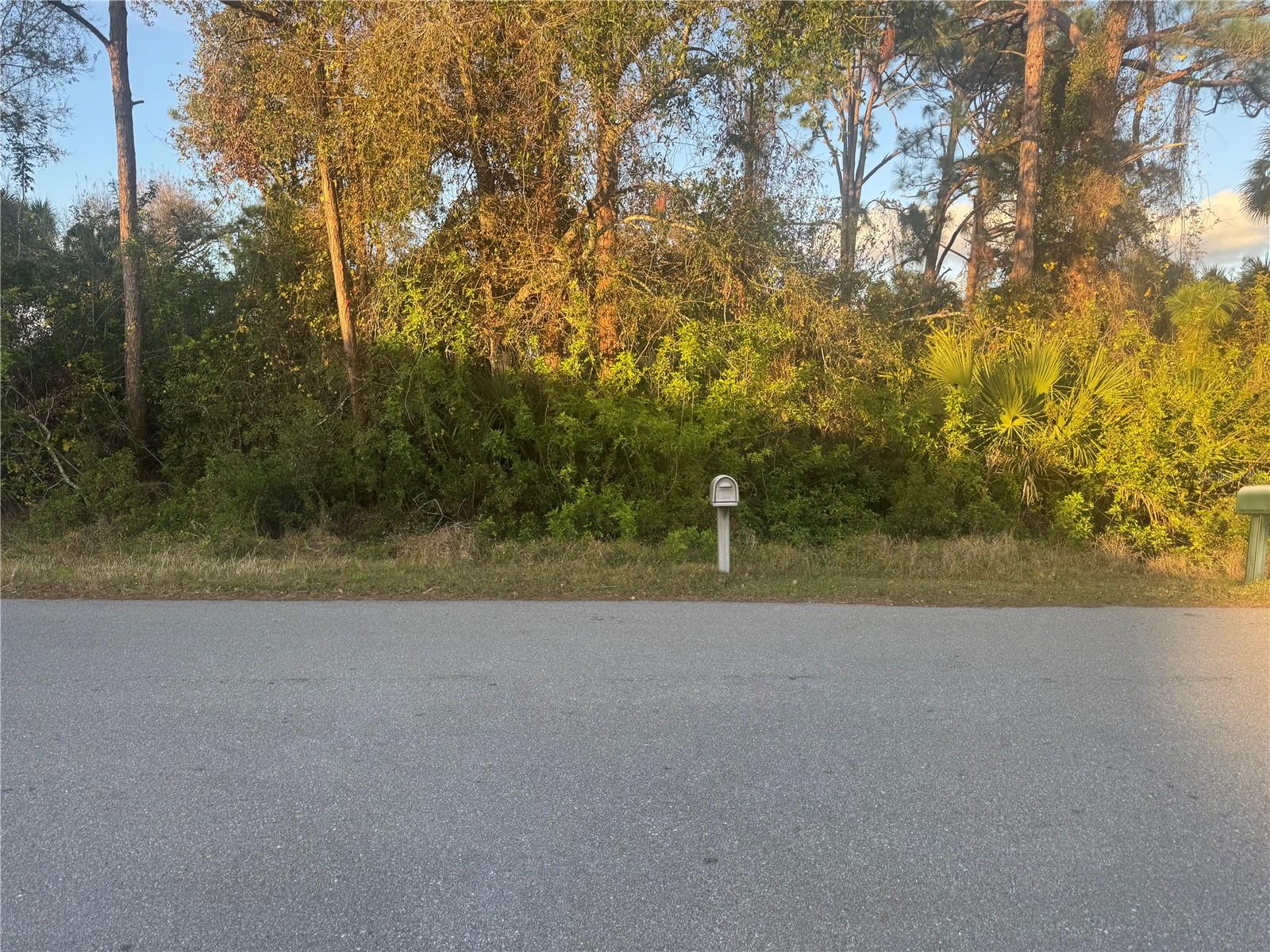 Looking for the perfect piece of land to build your dream home or invest in a prime property? Look no further! This double parcel vacant lot in North Port offers the perfect combination of space, privacy, and accessibility. Peace of mind with a secure, non flood zone. Quick drive to US-41, I-75, and nearby amenities. Close to Shopping, Dining, and Golf Courses. Not a far drive when visiting Sarasota, Venice, and Port Charlotte for easy access to beaches, parks, and cultural activities.
** Two adjacent parcels included in this purchase ** Build your dream home is this very desirable community in North Port. It is in a NON FLOOD ZONE. Close Proximity to all the great amenities the city has, such as shopping, golfing, entertainment and restaurants.