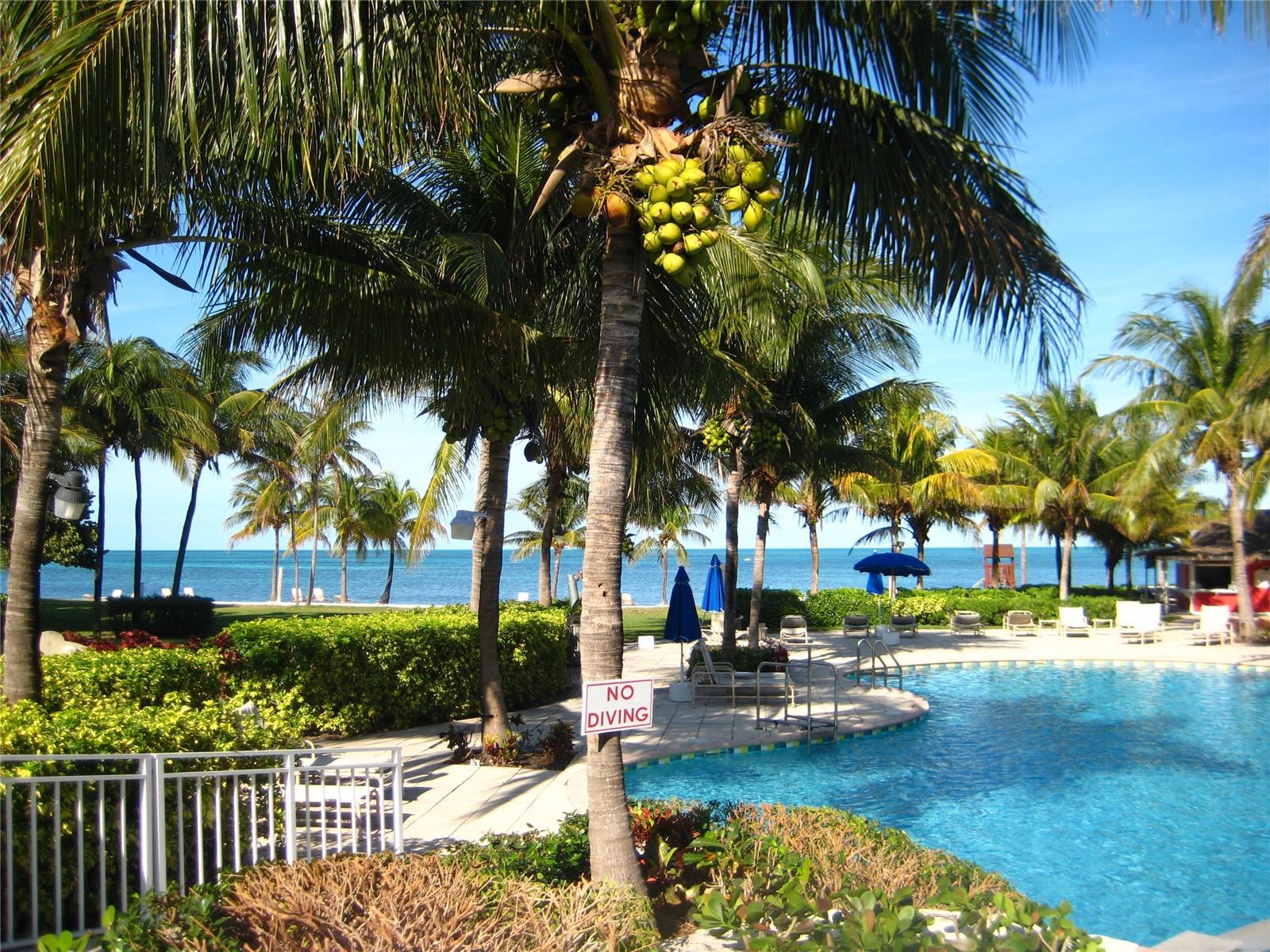BAHAMA BAY A CONDO - Residential Lease
