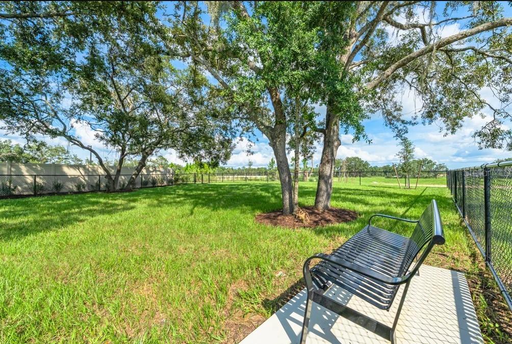 PALM WIND - Residential