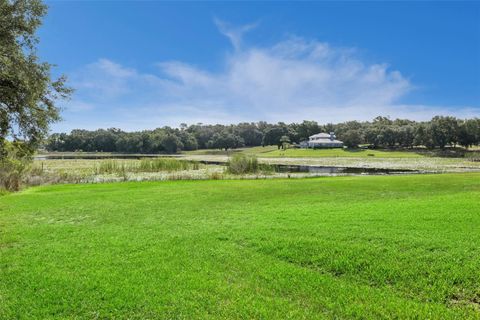 Tiny photo for 605 Old Mount Dora Road, Eustis, FL 32726 (MLS # O6416975)