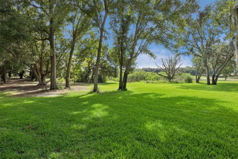 Tiny photo for 605 Old Mount Dora Road, Eustis, FL 32726 (MLS # O6416975)