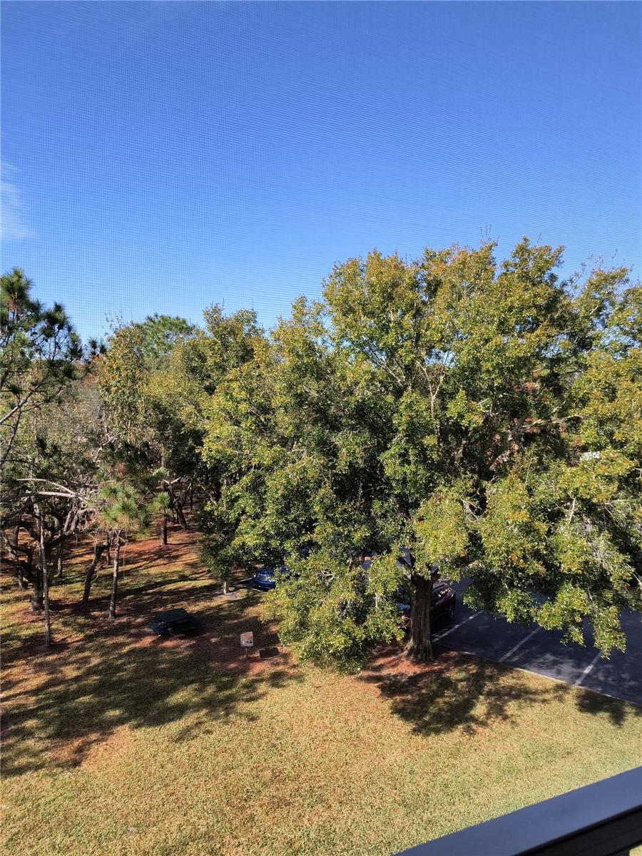 LEGACY DUNES CONDO - Residential Lease