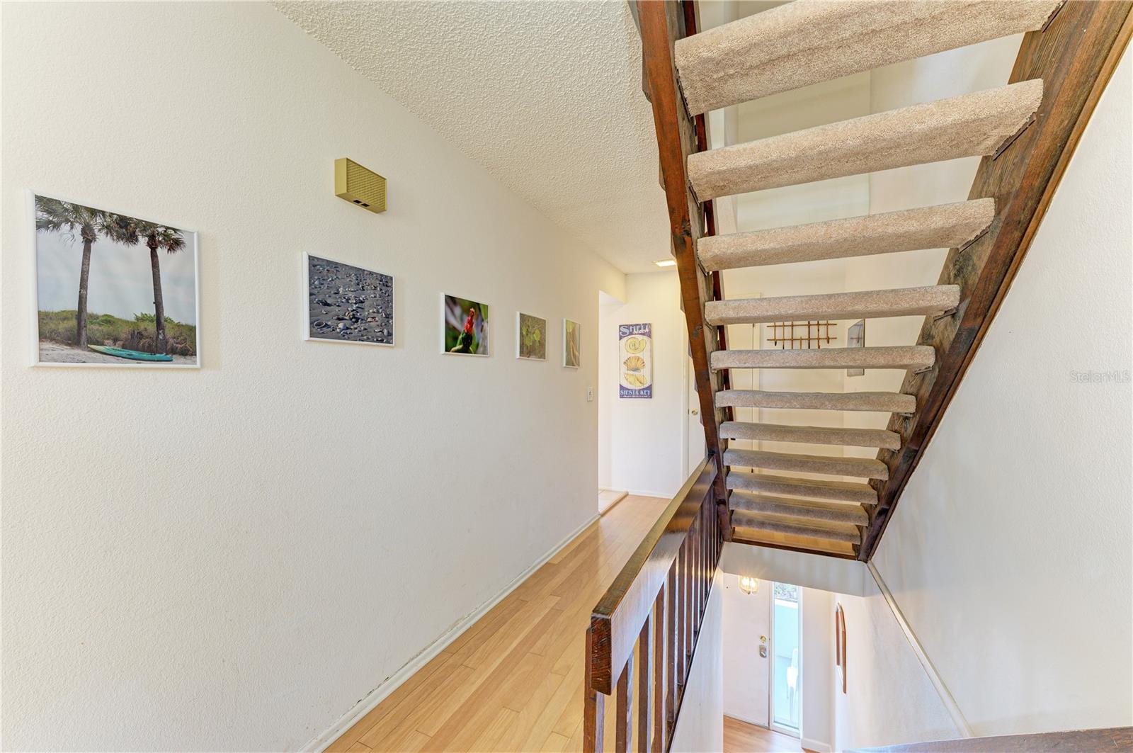 MIDNIGHT SEA - Residential