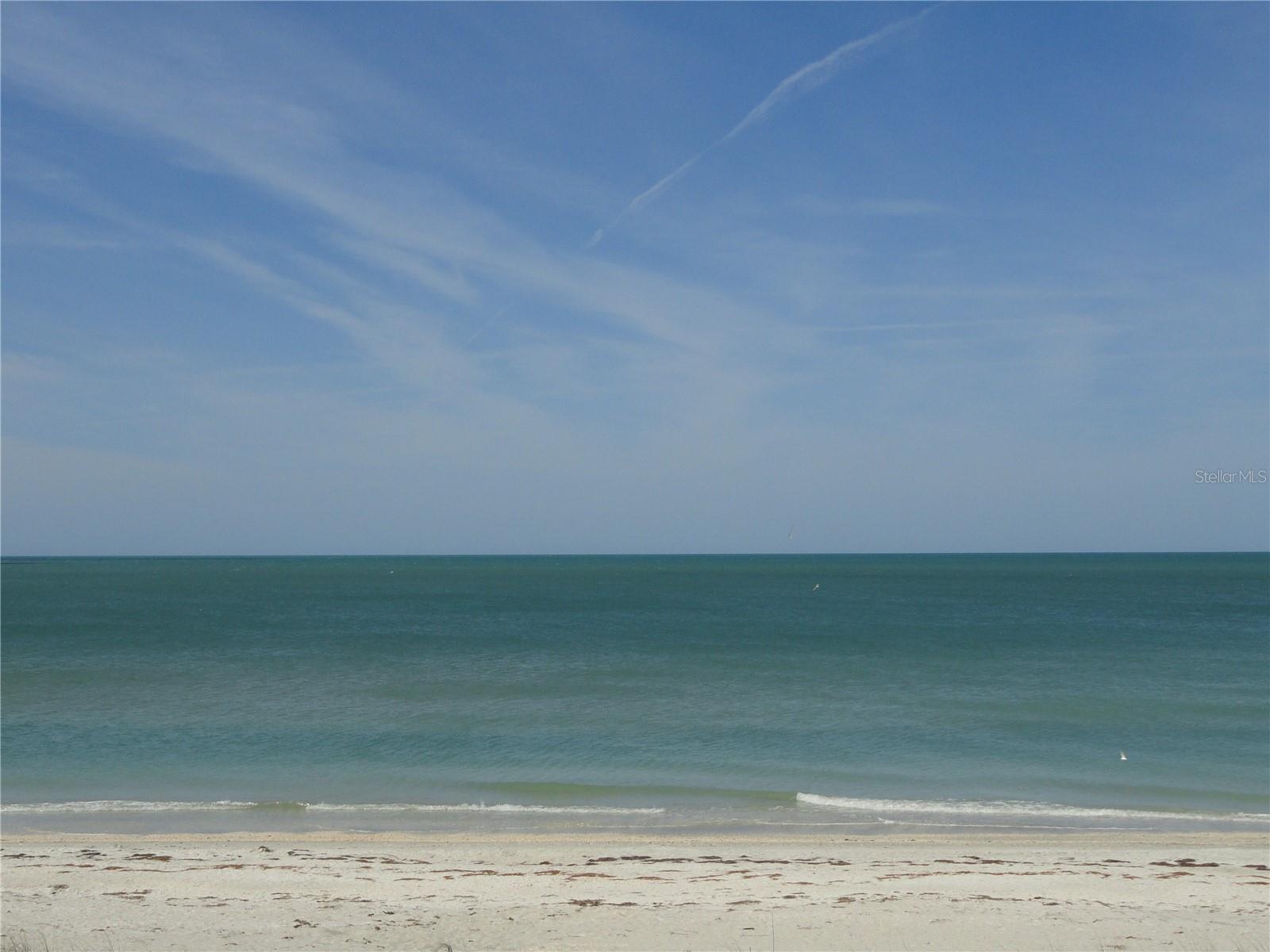 3100 GULF BOULEVARD 221