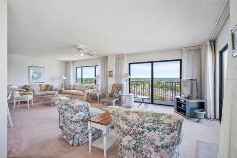 A home in FLAGLER BEACH