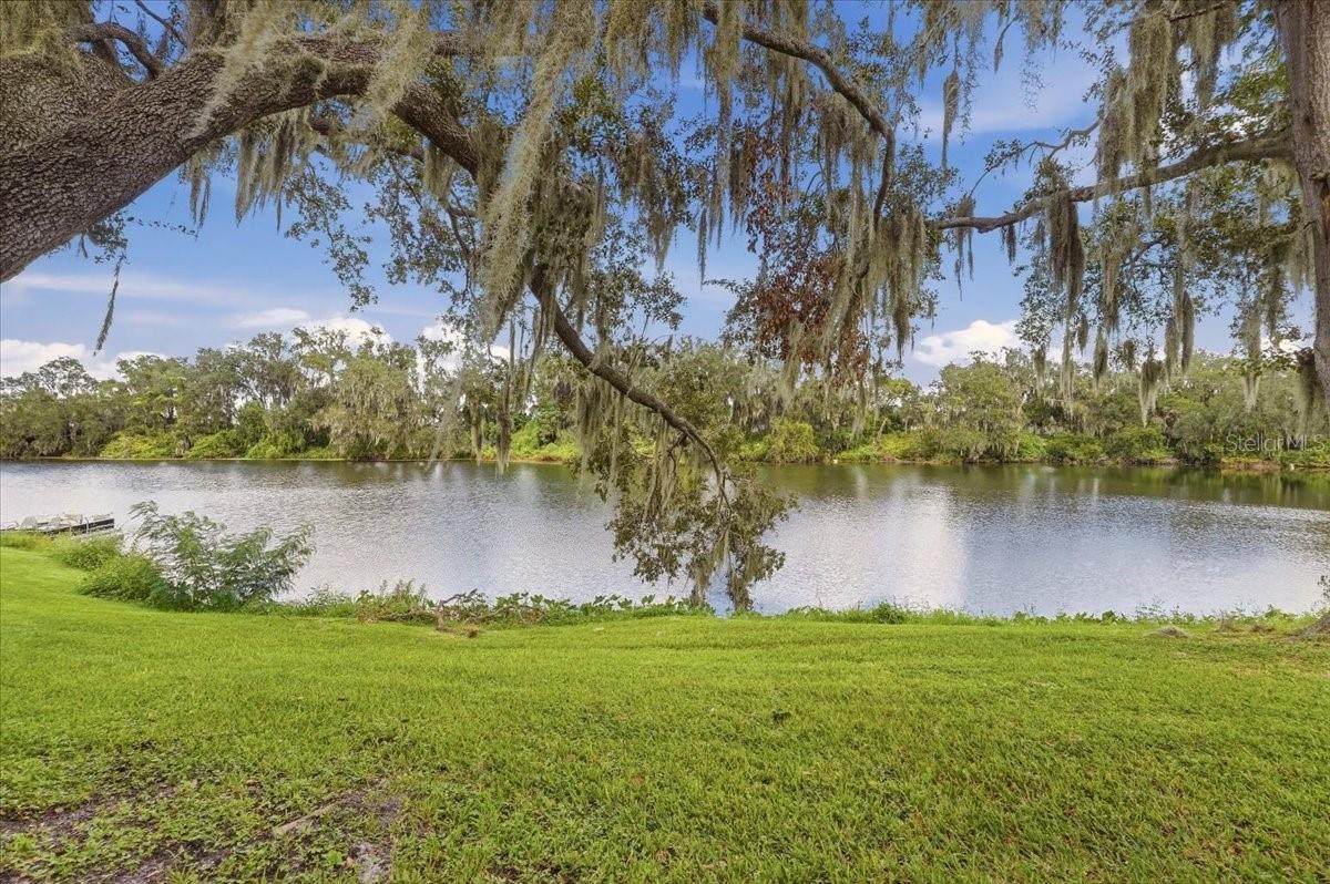 368 LAKE HARRIS DRIVE