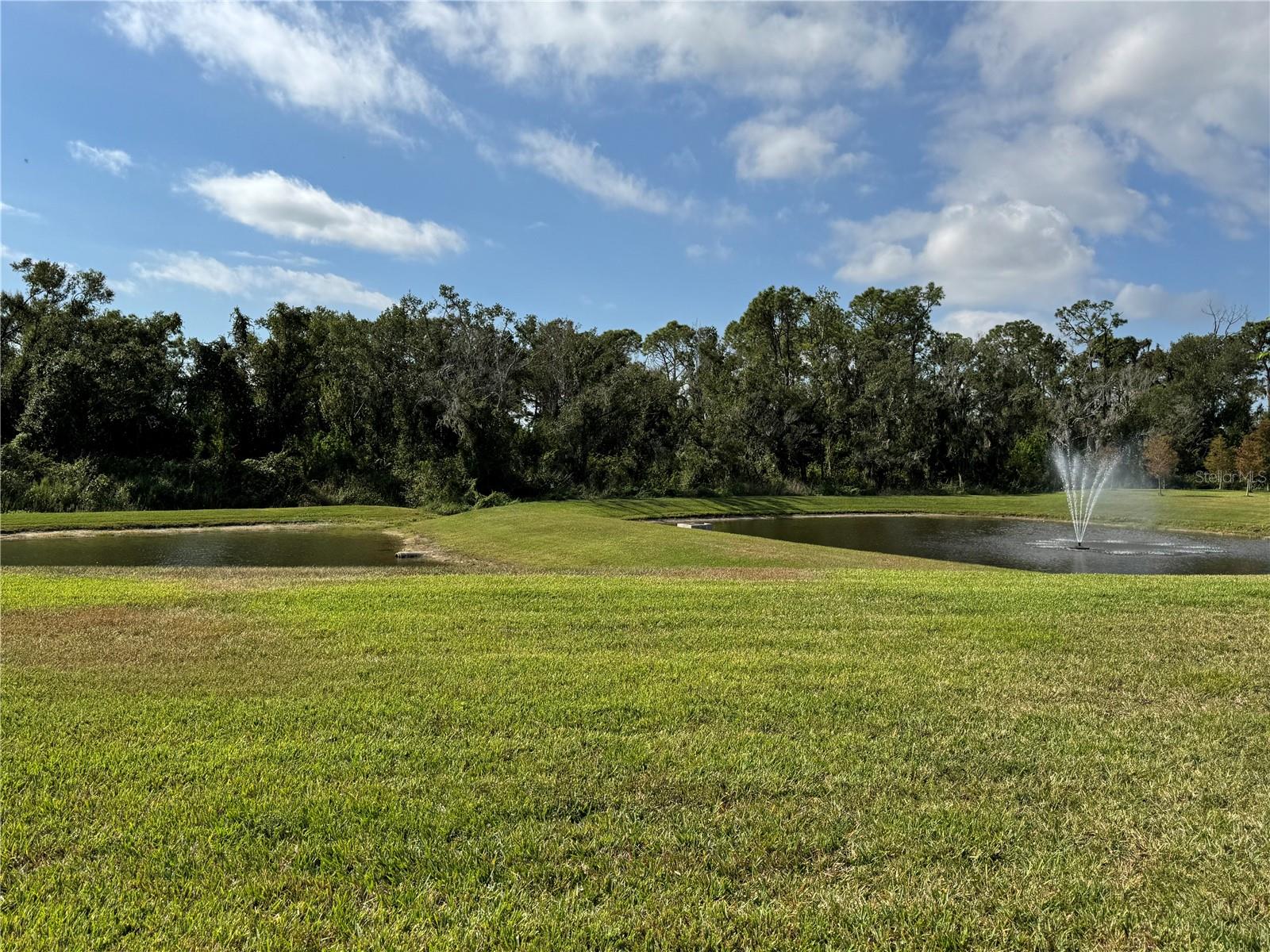 SOLERA AT LAKEWOOD RANCH - Residential