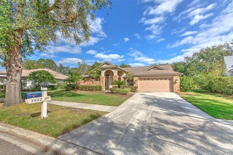 A home in VALRICO