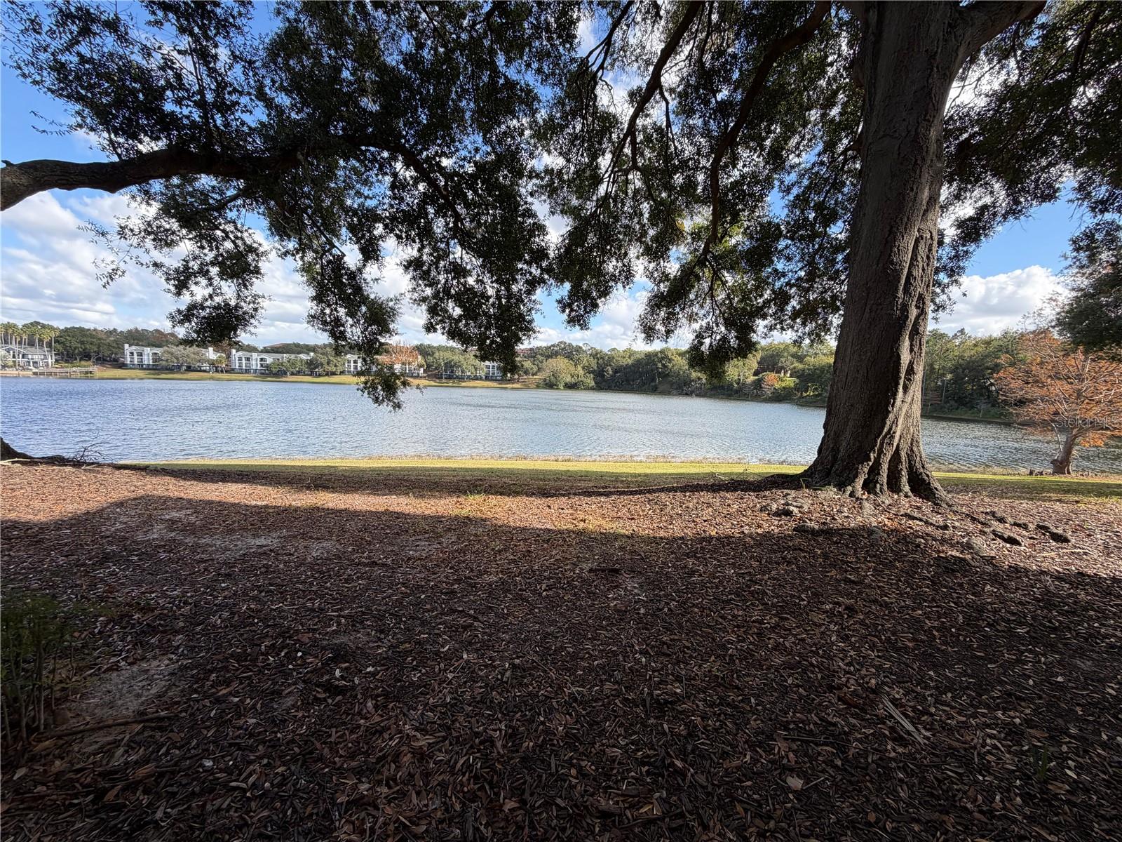 TRADEWINDS - Residential Lease