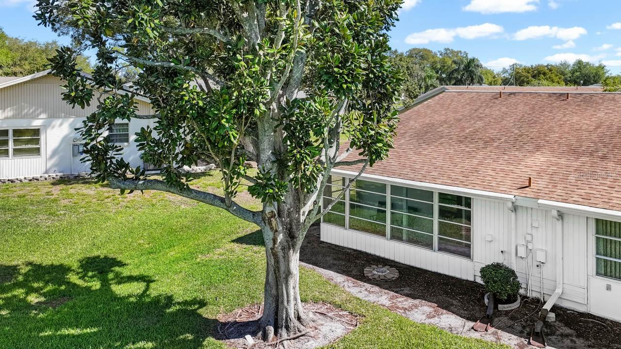 DORCHESTER C CONDO - Residential