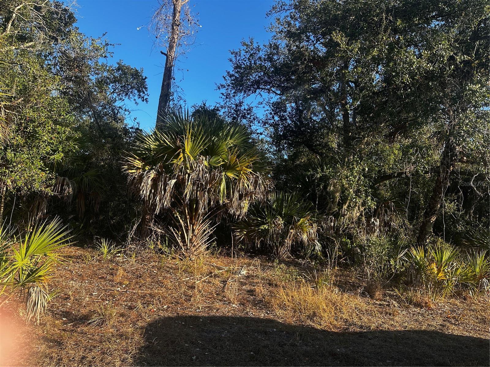 PORT CHARLOTTE SUB 32 - Land