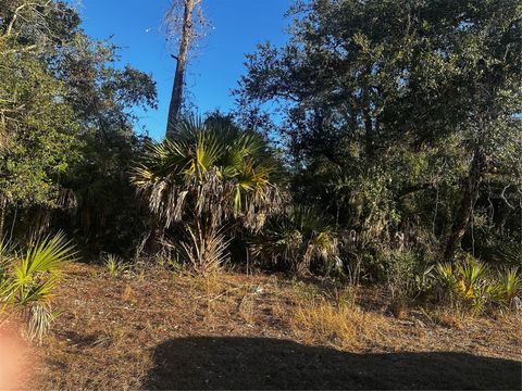 Search Sarasota & Manatee County Homes 55 LANAI AVENUE NORTH PORT FL 34288