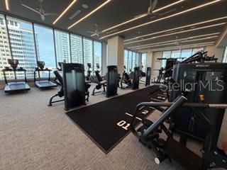 ART HOUSE - Residential Lease