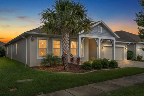 Photo of 16691 Vibrato Lane, Land O Lakes, FL 34638 (MLS # W7885711)