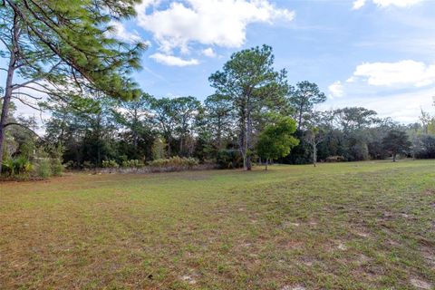 Tiny photo for 649 S West Bend Point, Lecanto, FL 34461 (MLS # OM713759)