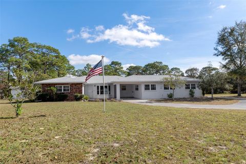Photo of 649 S West Bend Point, Lecanto, FL 34461 (MLS # OM713759)