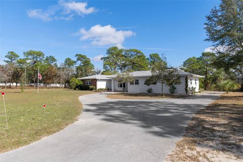 Tiny photo for 649 S West Bend Point, Lecanto, FL 34461 (MLS # OM713759)