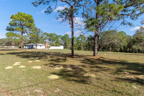 Tiny photo for 649 S West Bend Point, Lecanto, FL 34461 (MLS # OM713759)