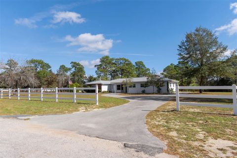 Tiny photo for 649 S West Bend Point, Lecanto, FL 34461 (MLS # OM713759)