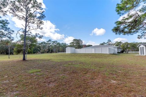 Tiny photo for 649 S West Bend Point, Lecanto, FL 34461 (MLS # OM713759)