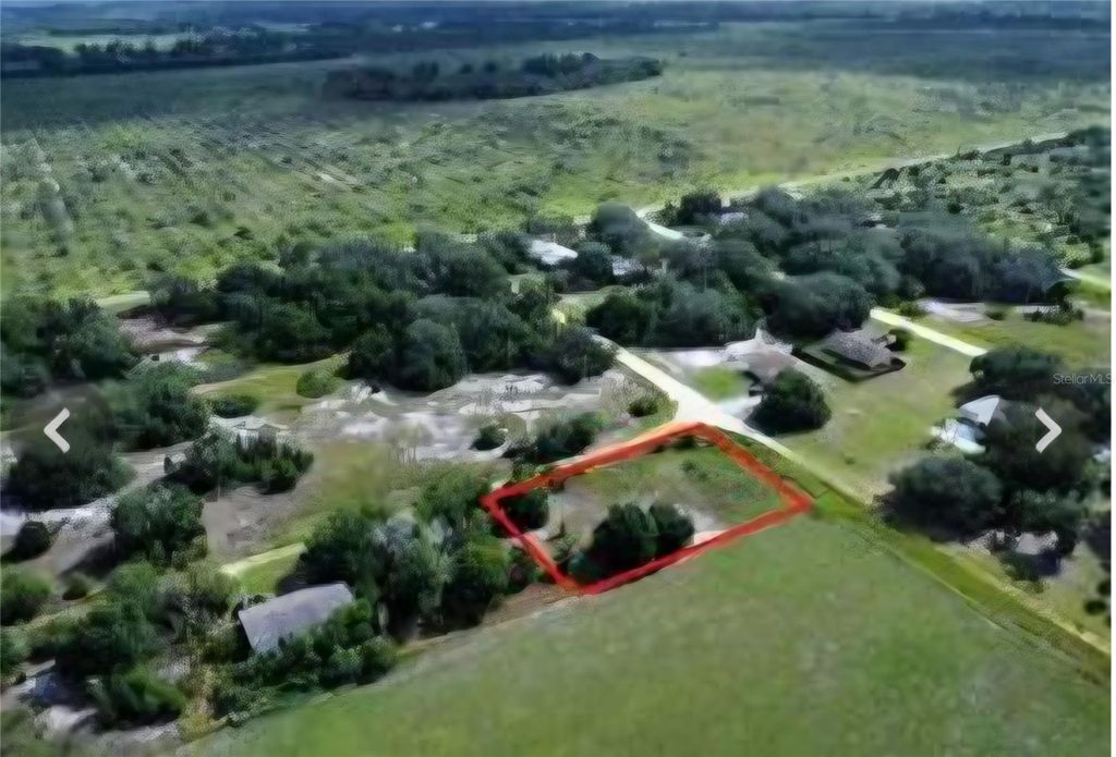 Photo of 2601 London Road, Avon Park, FL 33825 (MLS # P4936499)