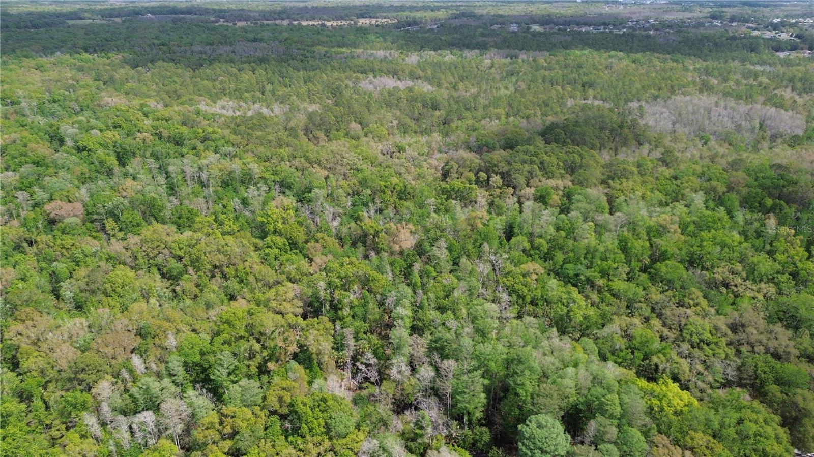 TAMPA DOWNS RANCHETTES UNREC - Land