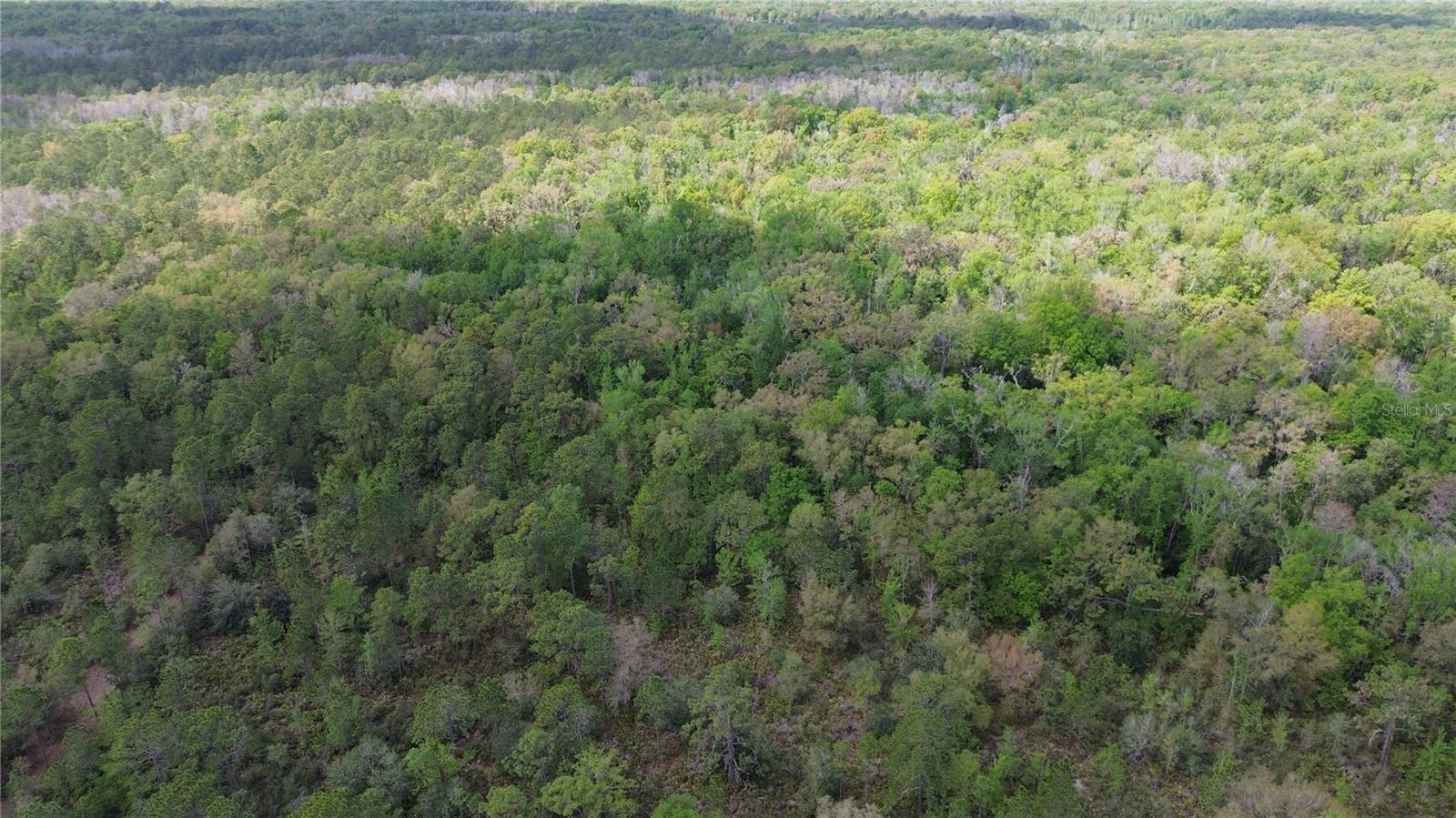 TAMPA DOWNS RANCHETTES UNREC - Land