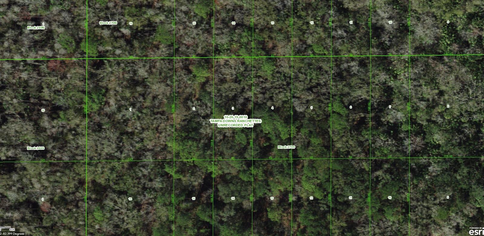 TAMPA DOWNS RANCHETTES UNREC - Land