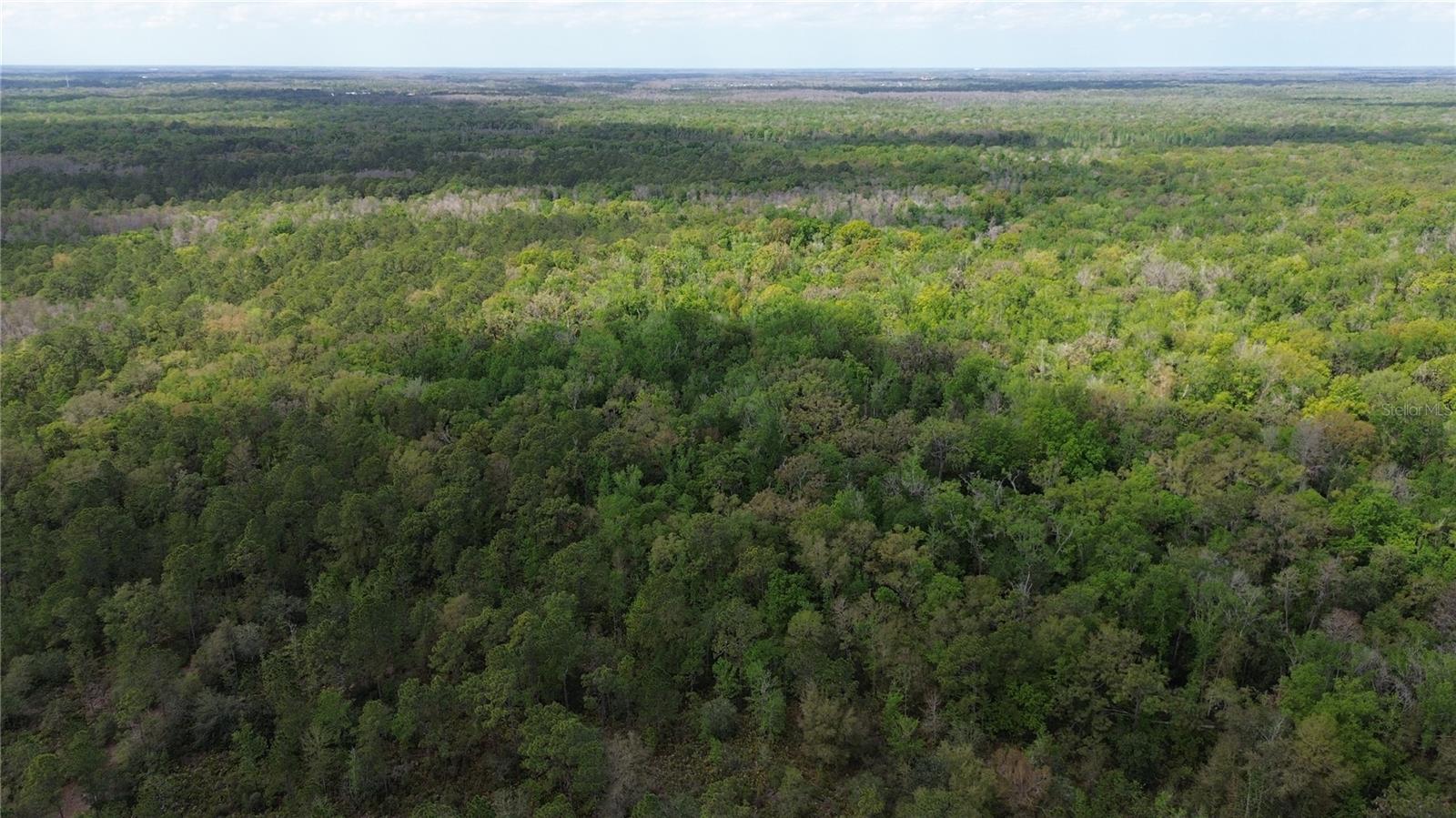 TAMPA DOWNS RANCHETTES UNREC - Land