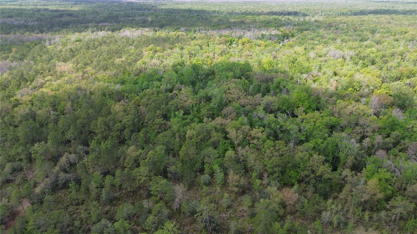 TAMPA DOWNS RANCHETTES UNREC - Land