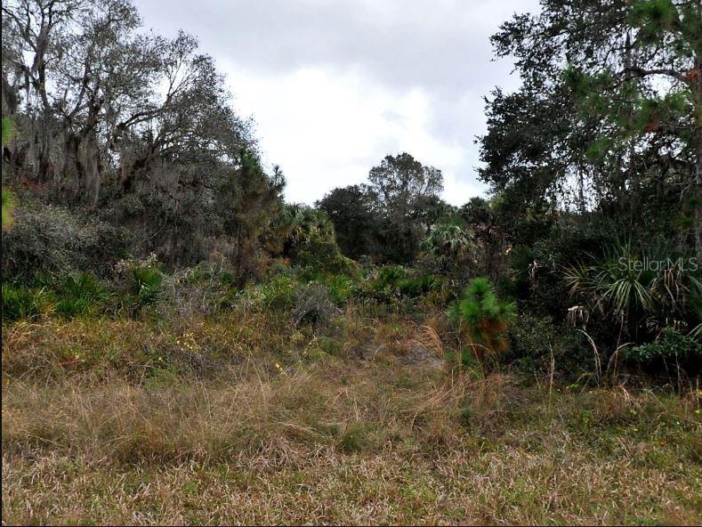 PORT CHARLOTTE SUB 14 REP - Land