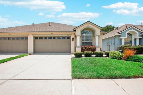 A home in WESLEY CHAPEL