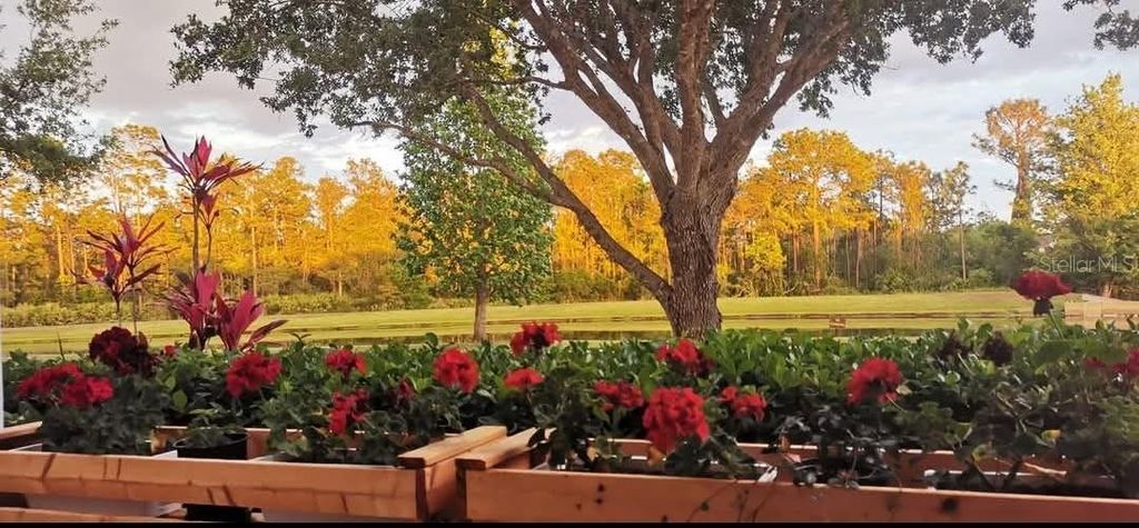 Photo of 14321 Peacock Springs Trail, Orlando, FL 32828 (MLS # O6382989)