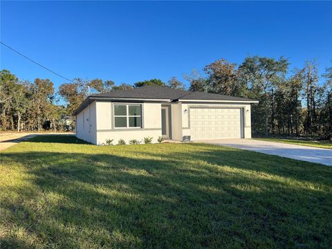 A home in CITRUS SPRINGS