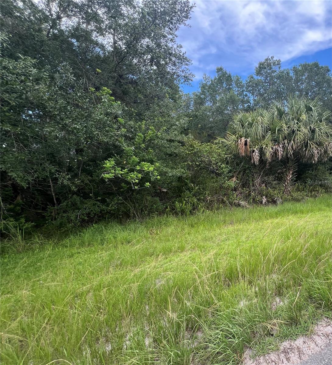 Here's your chance to own this just under 2 acres of land on Lake Suzanne in the ever growing community of Wedgefield. Owner is motivated. Custom built homes are going up near this lot. Bring your builder and build your dream home!! There is a Survey of this lot available upon request. This community features an 18-Hole Golf course with Clubhouse and On-site Restaurant. There's a large playground, pickleball courts at Wedgefield Park. This lot is across the way from the Hal Scott Regional Preserve and Park which is a natrual preserve featuring hiking, biking, horseback riding, fishing, and wildlife viewing. Easy access to Hwy 528, 417, I-4 and 408 and just minutes to Orlando International Airport, Lake Nona Medical City, UCF, Central Florida Research Park and major employment businesses, East Colonial, Downtown Orlando and the Beaches to the East of the Community. Buyer to perform their own due diligence and verify all information.