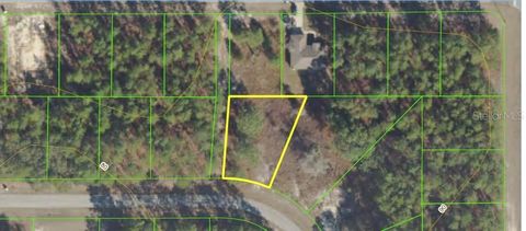 SW 131 ST PLACE OCALA FL 34473