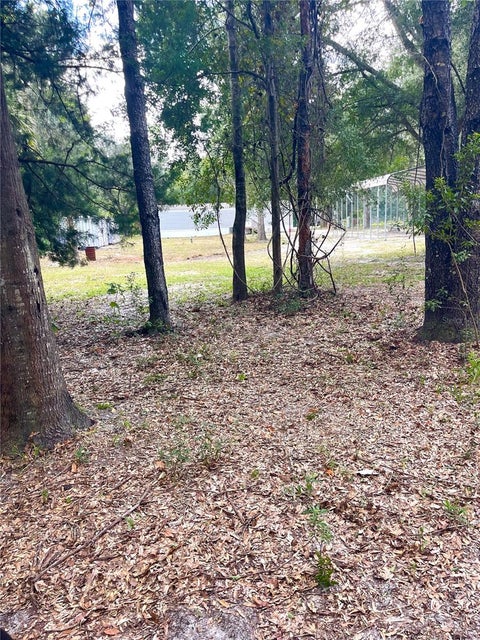 7231 Nw 28th Lane, Chiefland, FL 32626